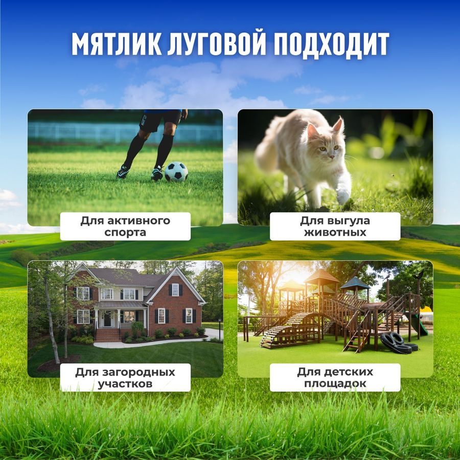 Семена мятлика Сила Суздаля 300 г, превью