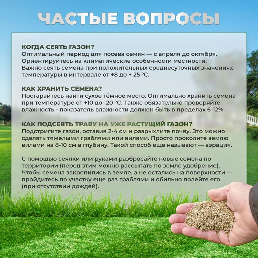 Газонная трава Овсяница тростниковая Сила Суздаля 1 кг, превью