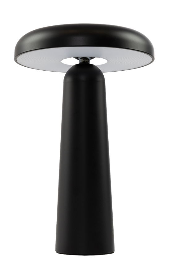 Аккумуляторный светильник Freya FR6109TL-L4B Черный LED, превью