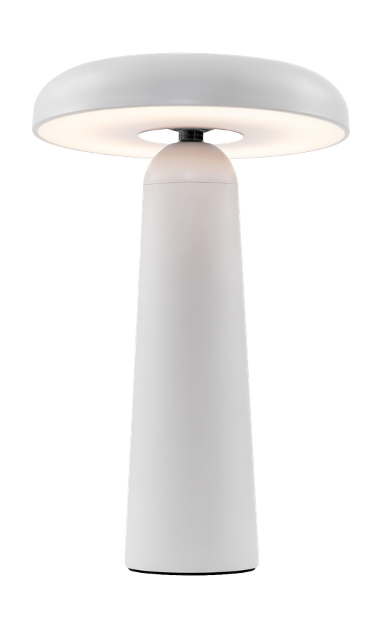 Аккумуляторный светильник Freya FR6109TL-L4W Белый LED, превью