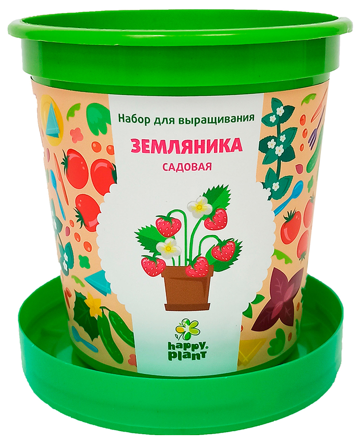 НАБОР ДЛЯ ВЫРАЩИВАНИЯ ЗЕМЛЯНИКА САДОВАЯ, предпросмотр