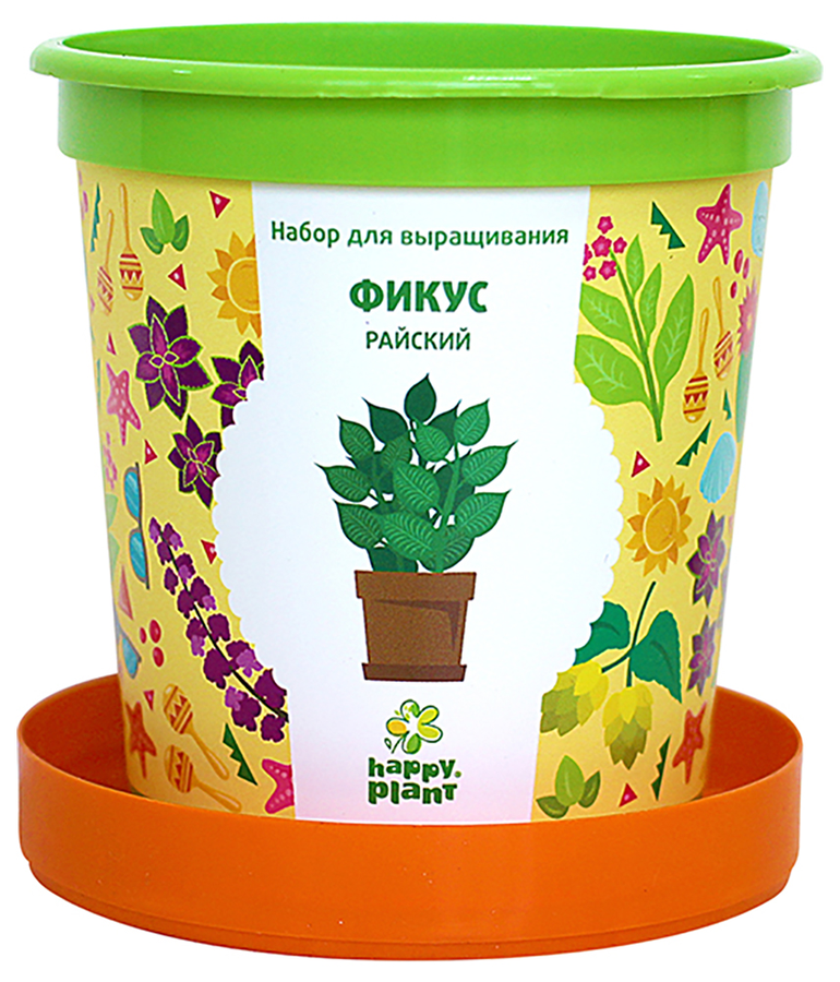 НАБОР ДЛЯ ВЫРАЩИВАНИЯ ФИКУС РАЙСКИЙ, превью