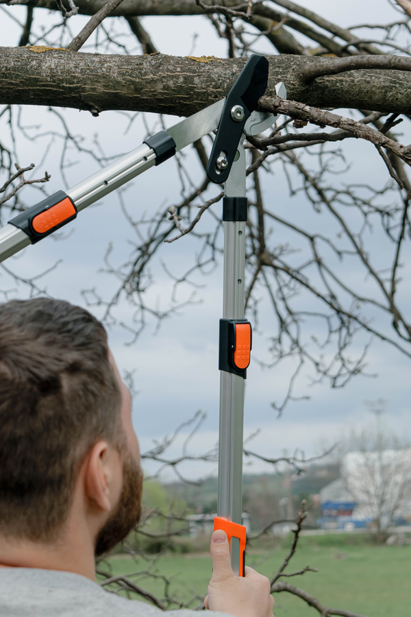 Сучкорез PLANTIC Pro80 телескопический, 63х20,3х4см, превью