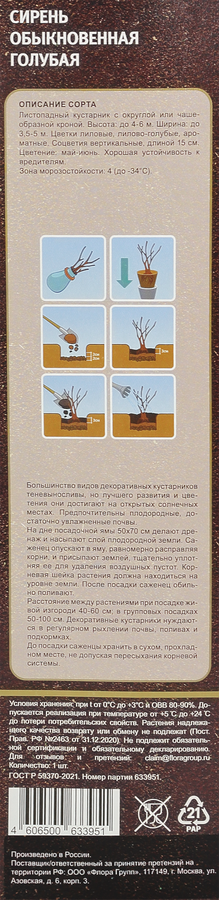 Саженец Сирень обыкновенная, микс, шт, предпросмотр