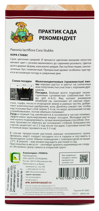 Луковицы, предпросмотр
