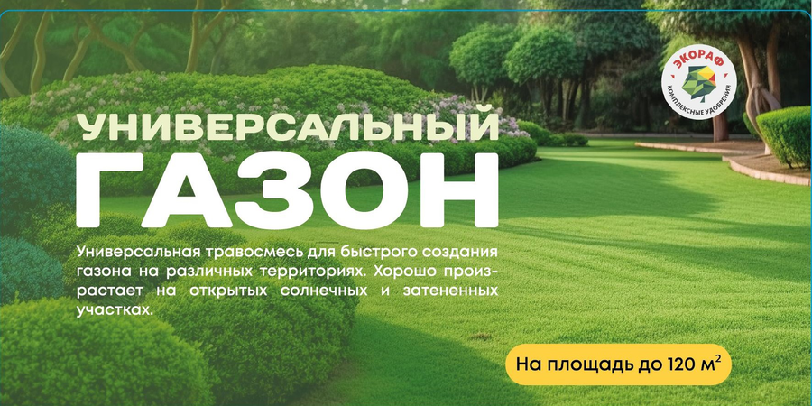 Семена ЭКОРАФ газонной травы УниверсалСтандарт, предпросмотр