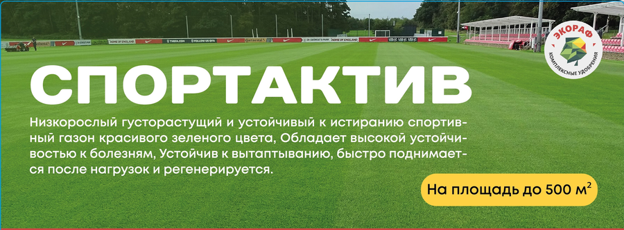 Семена ЭКОРАФ газонной травы СпортСтандарт, предпросмотр